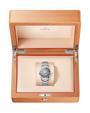 Relógio Omega Seamaster Railmaster 38mm 235.10.38.20.06.001 Automático